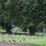 OTRA2014_1124 (September 01, 2014)